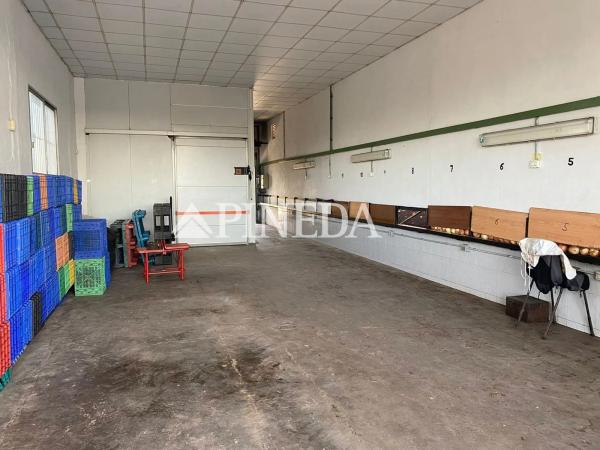 Terreno en camino els Plans