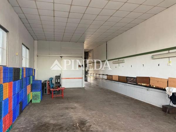 Terreno en camino els Plans