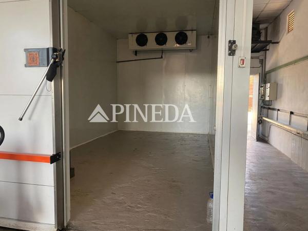 Terreno en camino els Plans