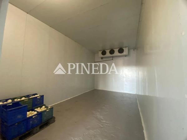 Terreno en camino els Plans