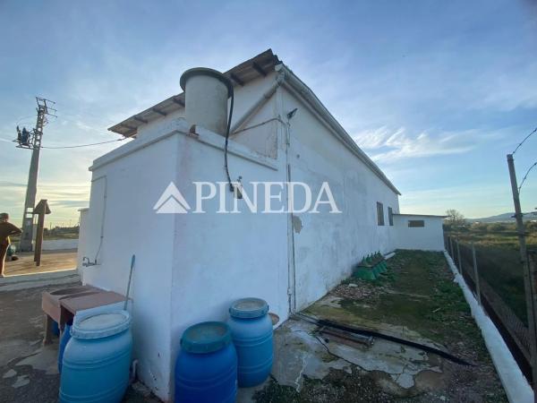 Terreno en camino els Plans