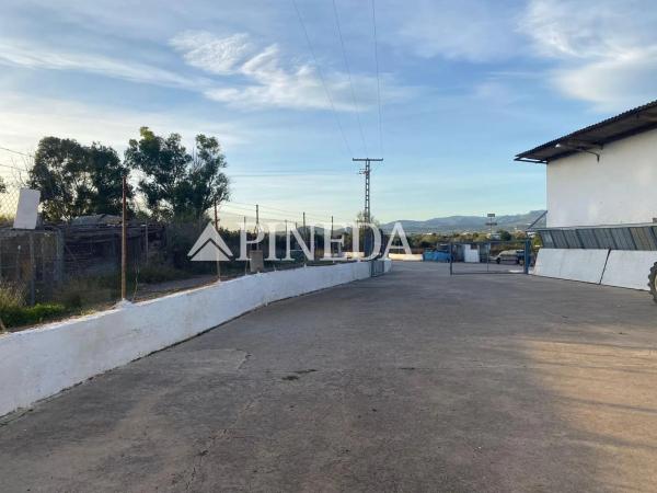 Terreno en camino els Plans