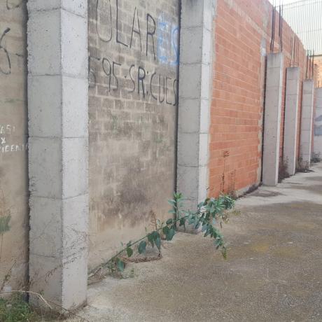 Terreno en calle dels Tarongers, 21 -1