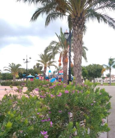 Terreno en calle Jesus Maria Pedrosa, 9