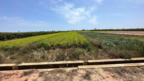 Terreno en La Barraca-Santigons