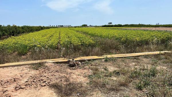 Terreno en La Barraca-Santigons