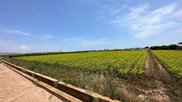 Terreno en La Barraca-Santigons
