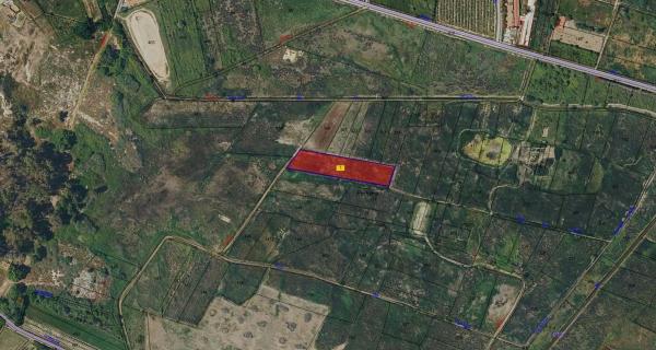 Terreno en travesía de la Peralta, 4