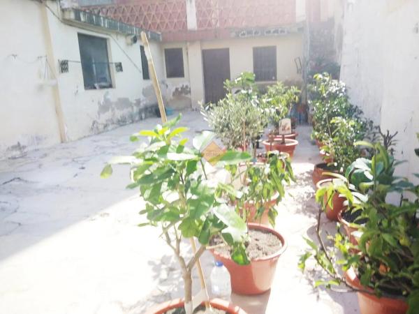 Terreno en Zona Campus Universitario