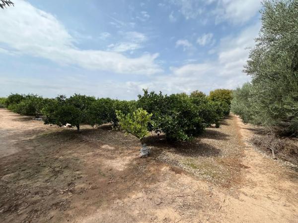 Terreno en Partida la Font, 1