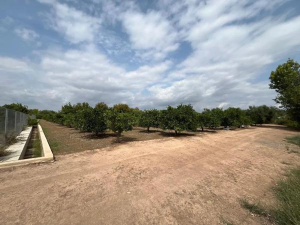 Terreno en Partida la Font, 1