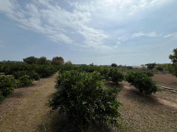 Terreno en Partida la Font, 1