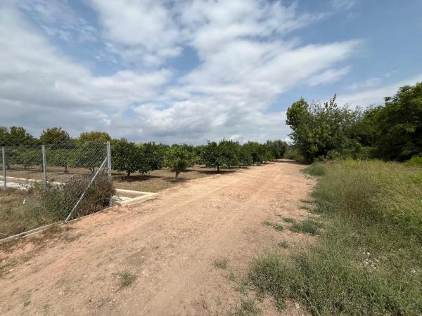 Terreno en Partida la Font, 1