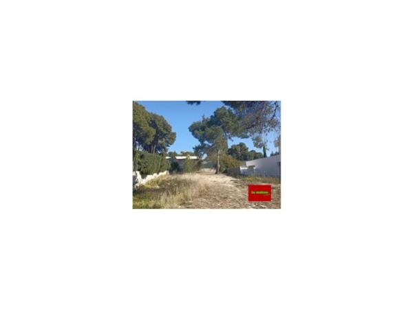 Terreno en calle 213