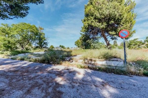 Terreno en calle Pintor Pablo Ruiz Pica, 1