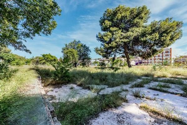 Terreno en calle Pintor Pablo Ruiz Pica, 1