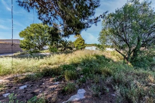 Terreno en calle Pintor Pablo Ruiz Pica, 1