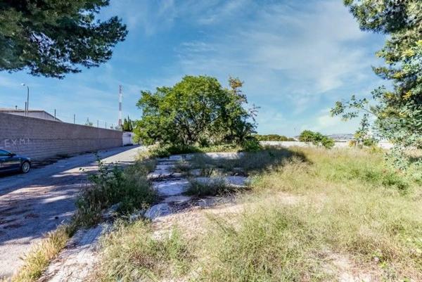 Terreno en calle Pintor Pablo Ruiz Pica, 1