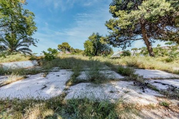 Terreno en calle Pintor Pablo Ruiz Pica, 1