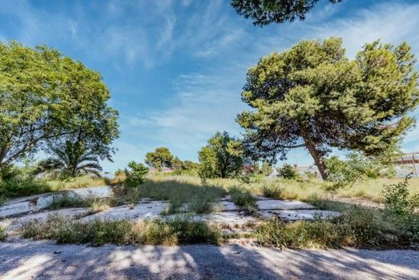 Terreno en calle Pintor Pablo Ruiz Pica, 1