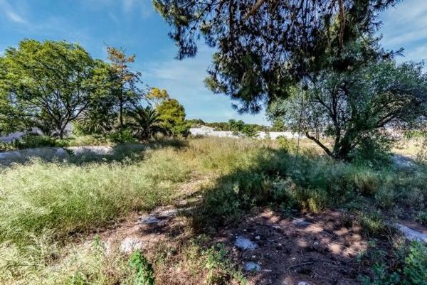 Terreno en calle Pintor Pablo Ruiz Pica, 1