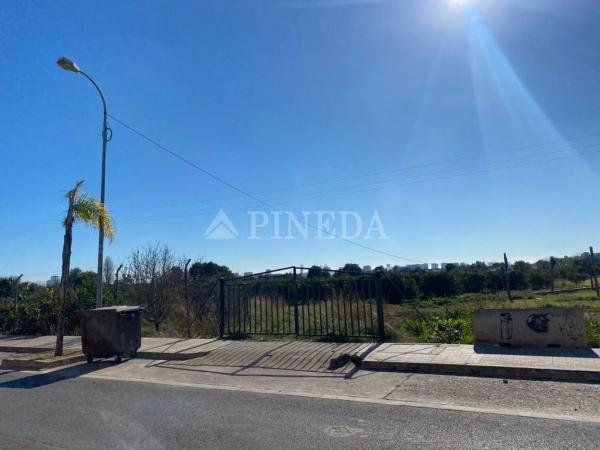 Terreno en calle Almenares