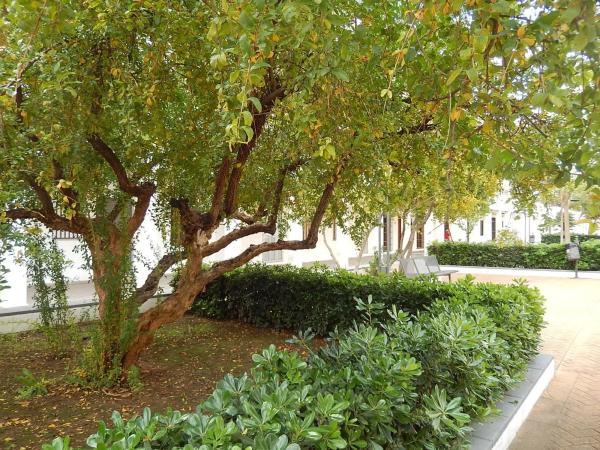 Terreno en calle Almenares