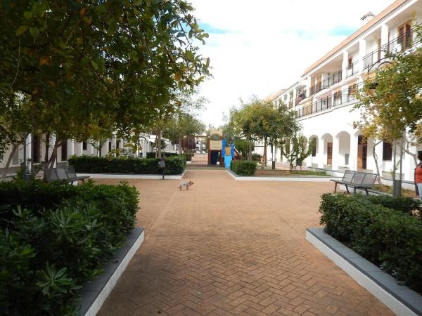 Terreno en calle Almenares