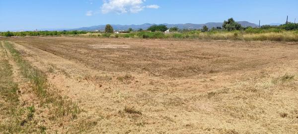 Terreno en vistabella rafalell s/n