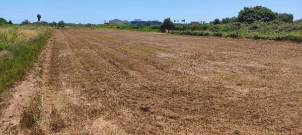 Terreno en vistabella rafalell s/n