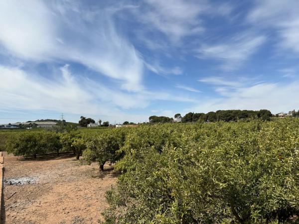 Terreno en calle Rei en Jaume