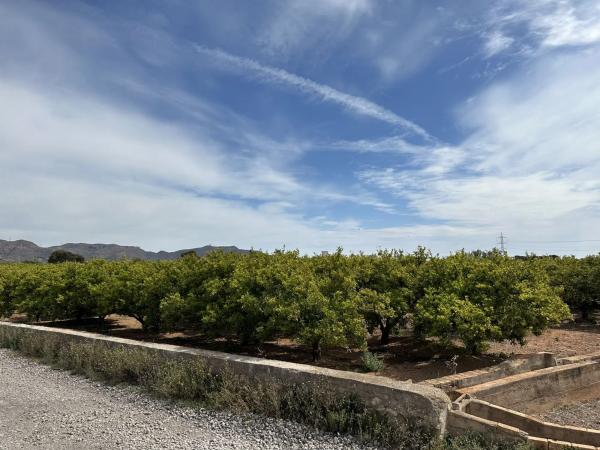 Terreno en calle Rei en Jaume
