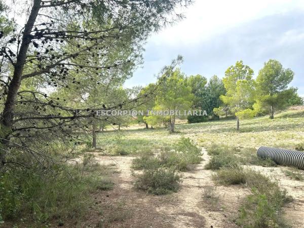 Terreno en La Cañada