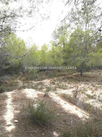 Terreno en La Cañada