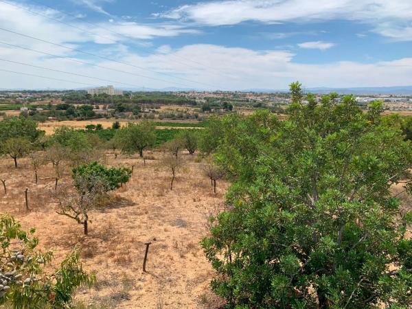 Terreno en camino Diseminado-san Ant Benag.