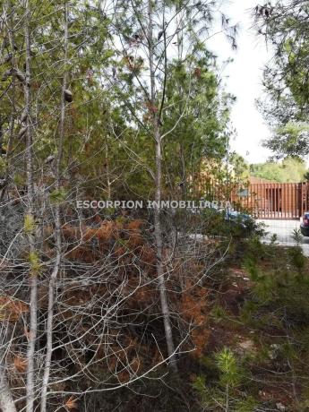 Terreno en La Cañada