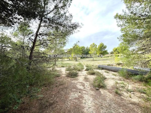 Terreno en La Cañada