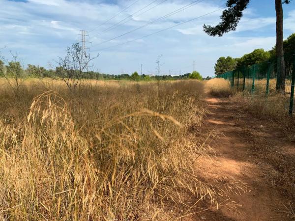 Terreno en camino Diseminado-san Ant Benag.