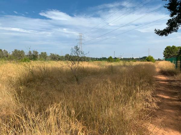 Terreno en camino Diseminado-san Ant Benag.