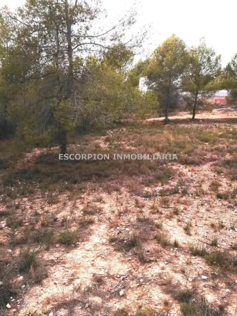 Terreno en La Cañada