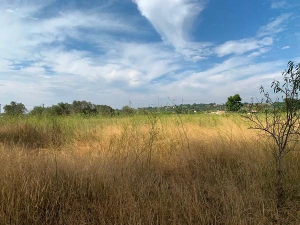 Terreno en camino Diseminado-san Ant Benag.