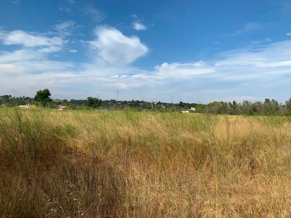 Terreno en camino Diseminado-san Ant Benag.