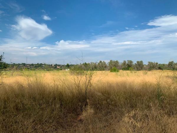 Terreno en camino Diseminado-san Ant Benag.