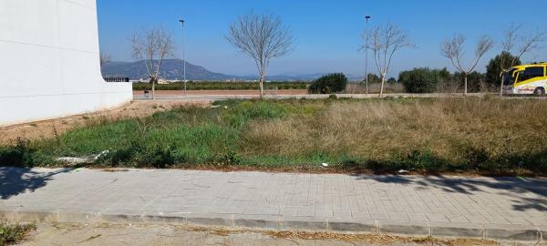 Terreno en calle José Esteve Edo, 37