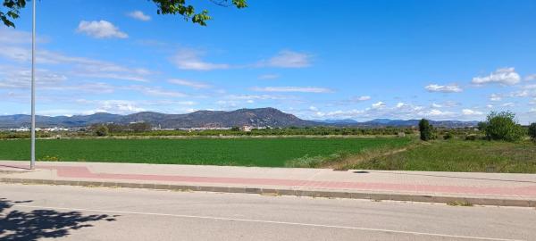Terreno en calle José Esteve Edo, 37