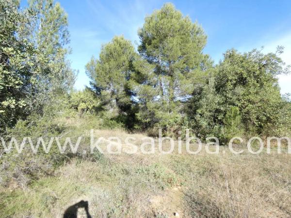 Terreno en La Cañada