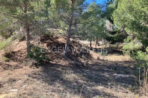 Terreno en La Cañada