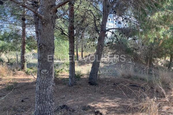 Terreno en La Cañada