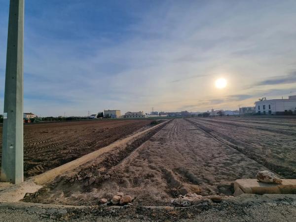 Terreno en Partida de la Mar