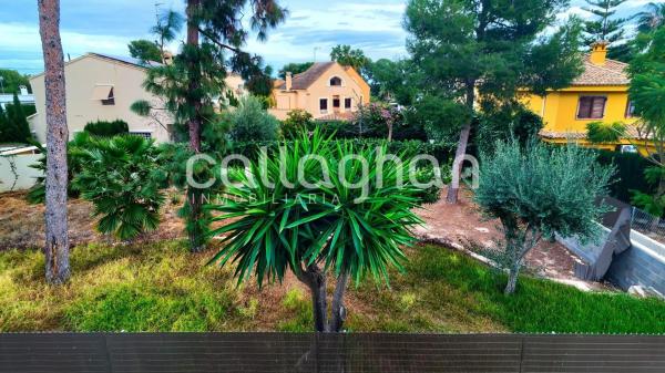 Terreno en calle 230